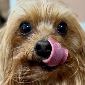 Meet your Posher, Timothy